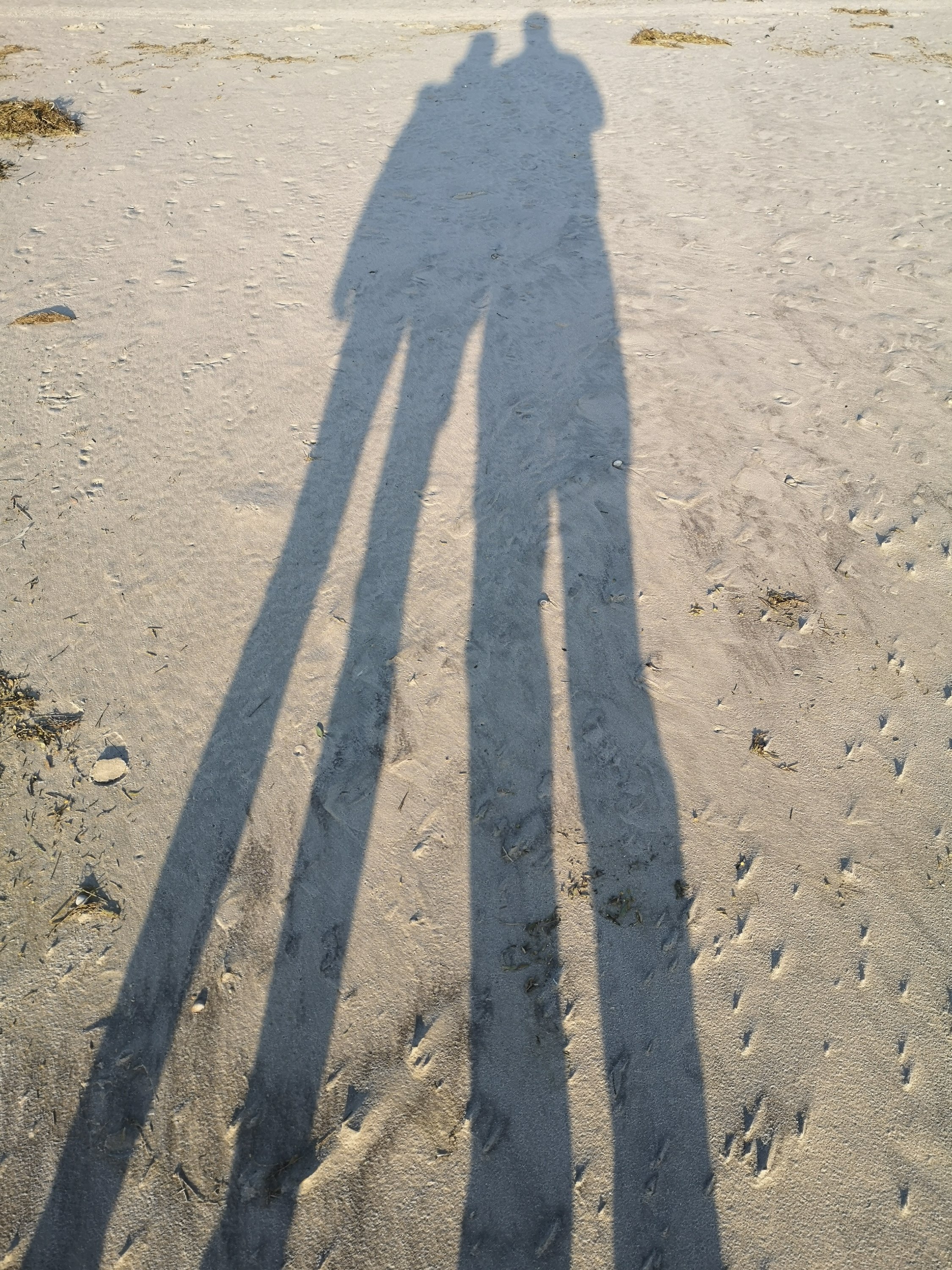 Geschützt: Ein Tag am Meer