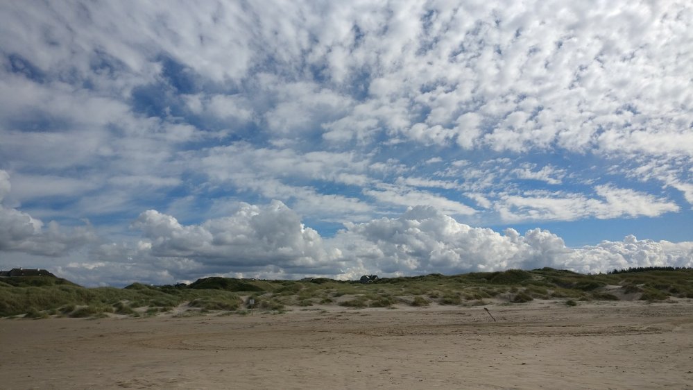 Geschützt: Zum Fischessen nach Hirtshals – immer am Meer entlang