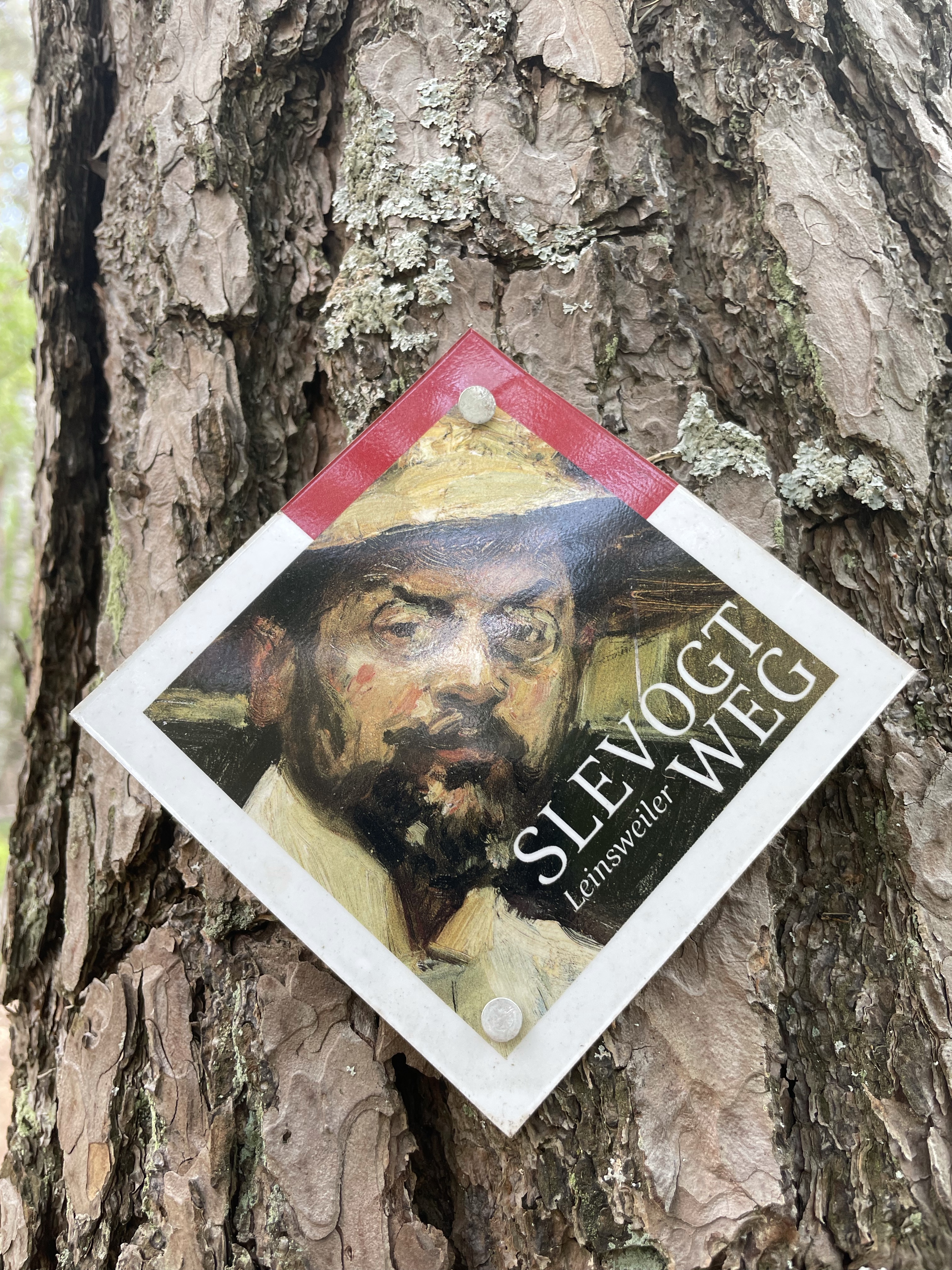 Geschützt: Der Slevogtweg oder: Kein Tag ohne Regen