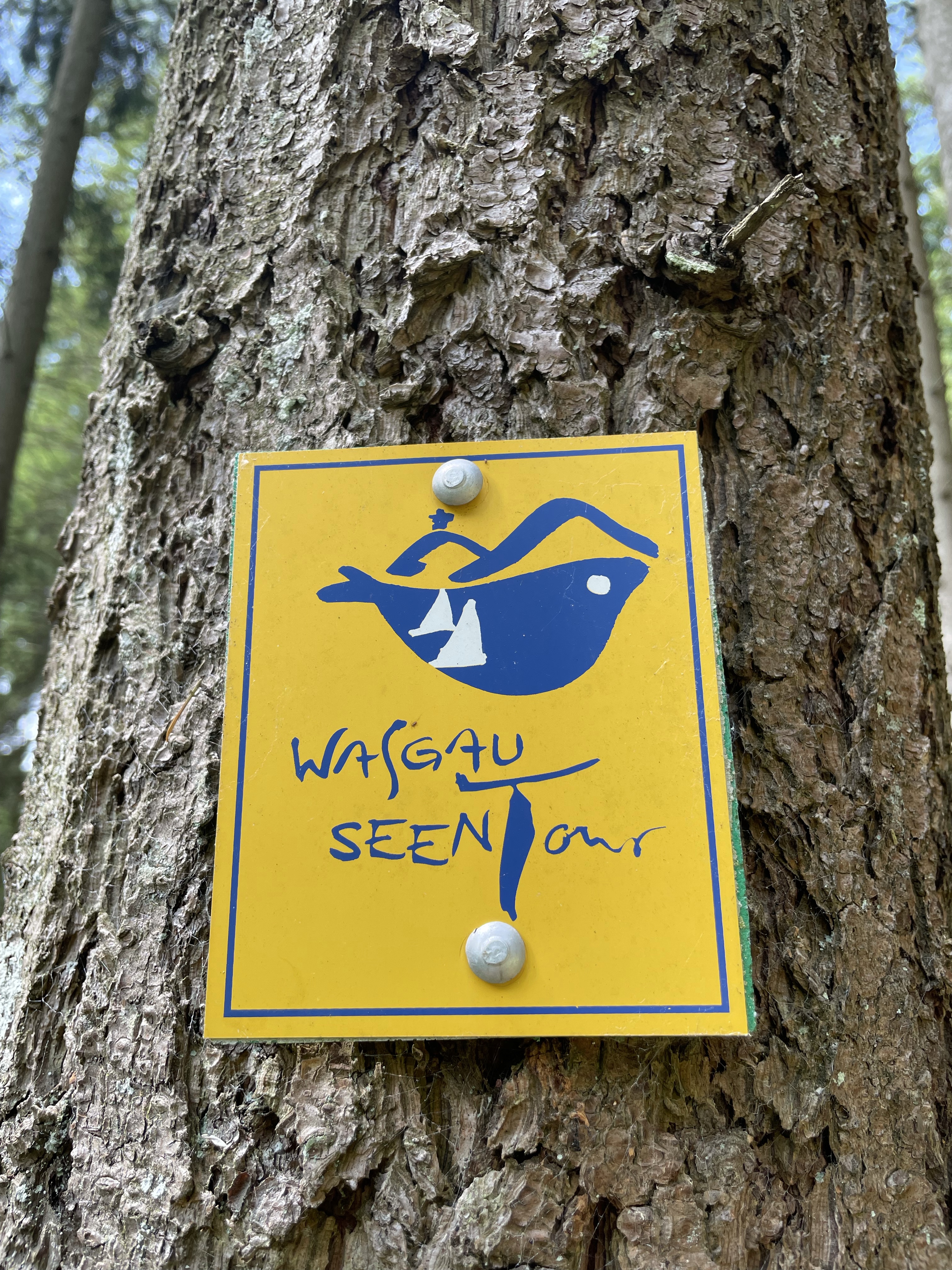 Geschützt: Die Wasgau Seen Tour – ein Tag ohne Regen