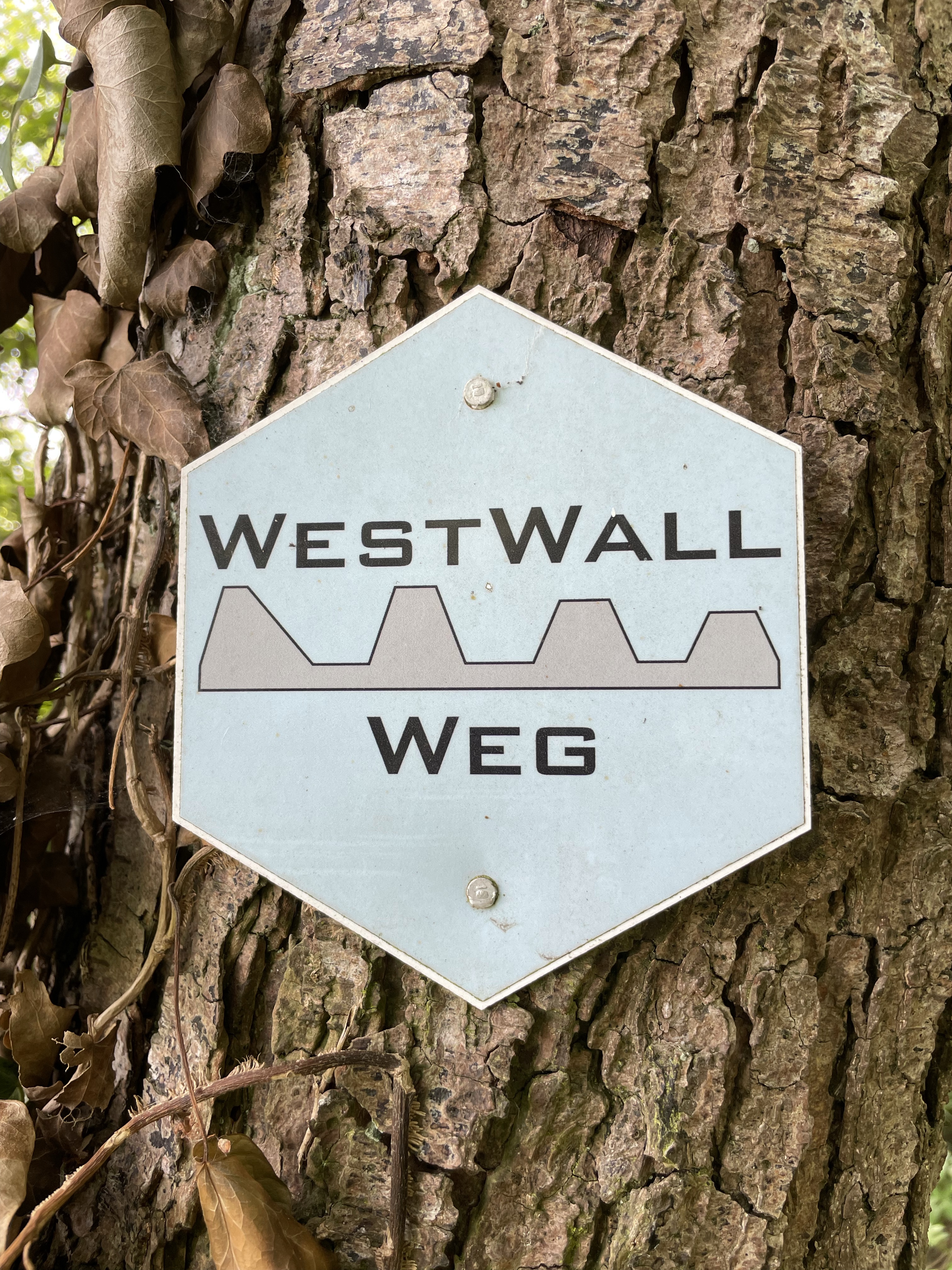 Geschützt: (K)ein Ruhetag am Westwall