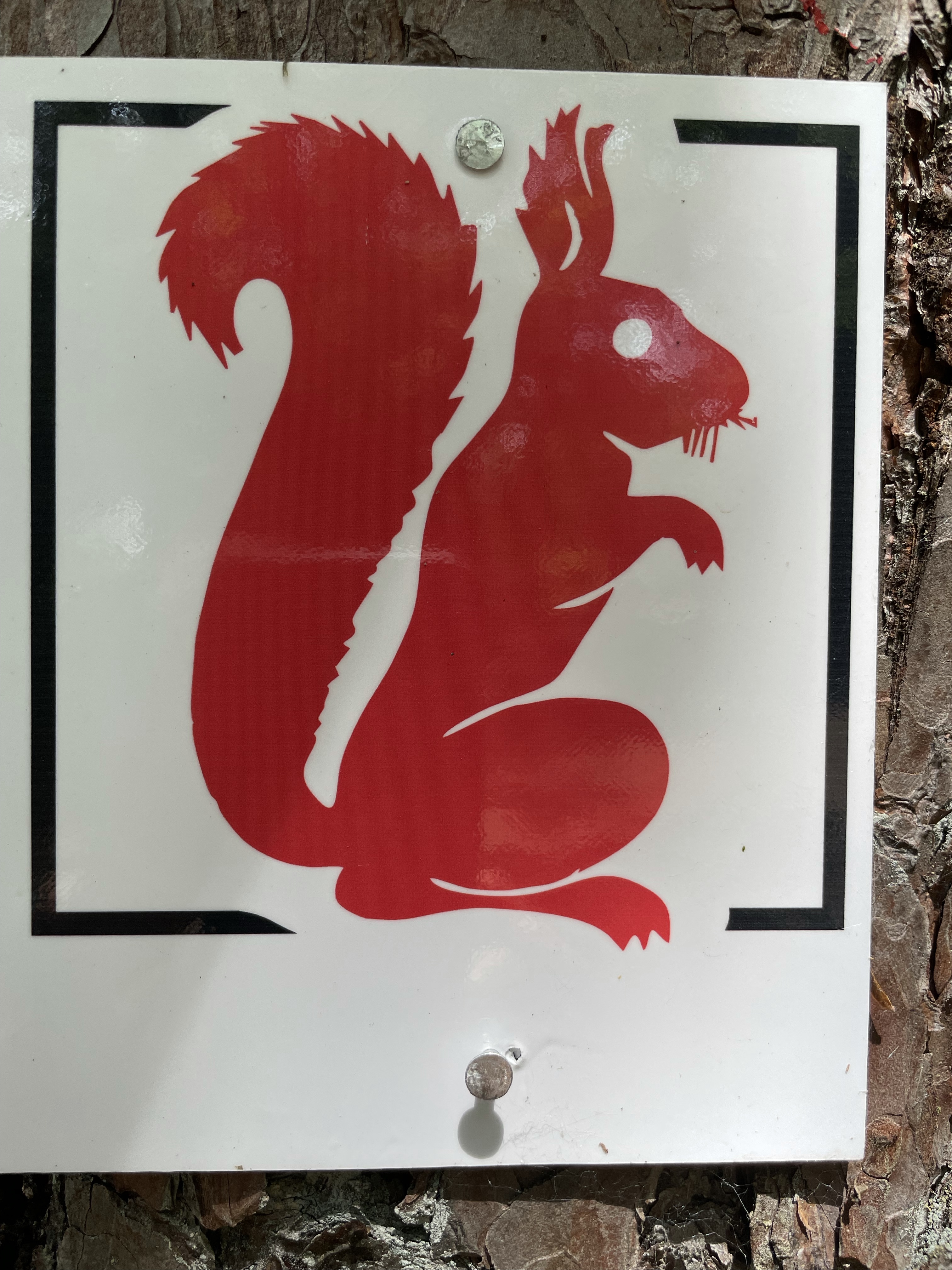 Geschützt: Der Eichhörnchenweg – Walddusche inklusive