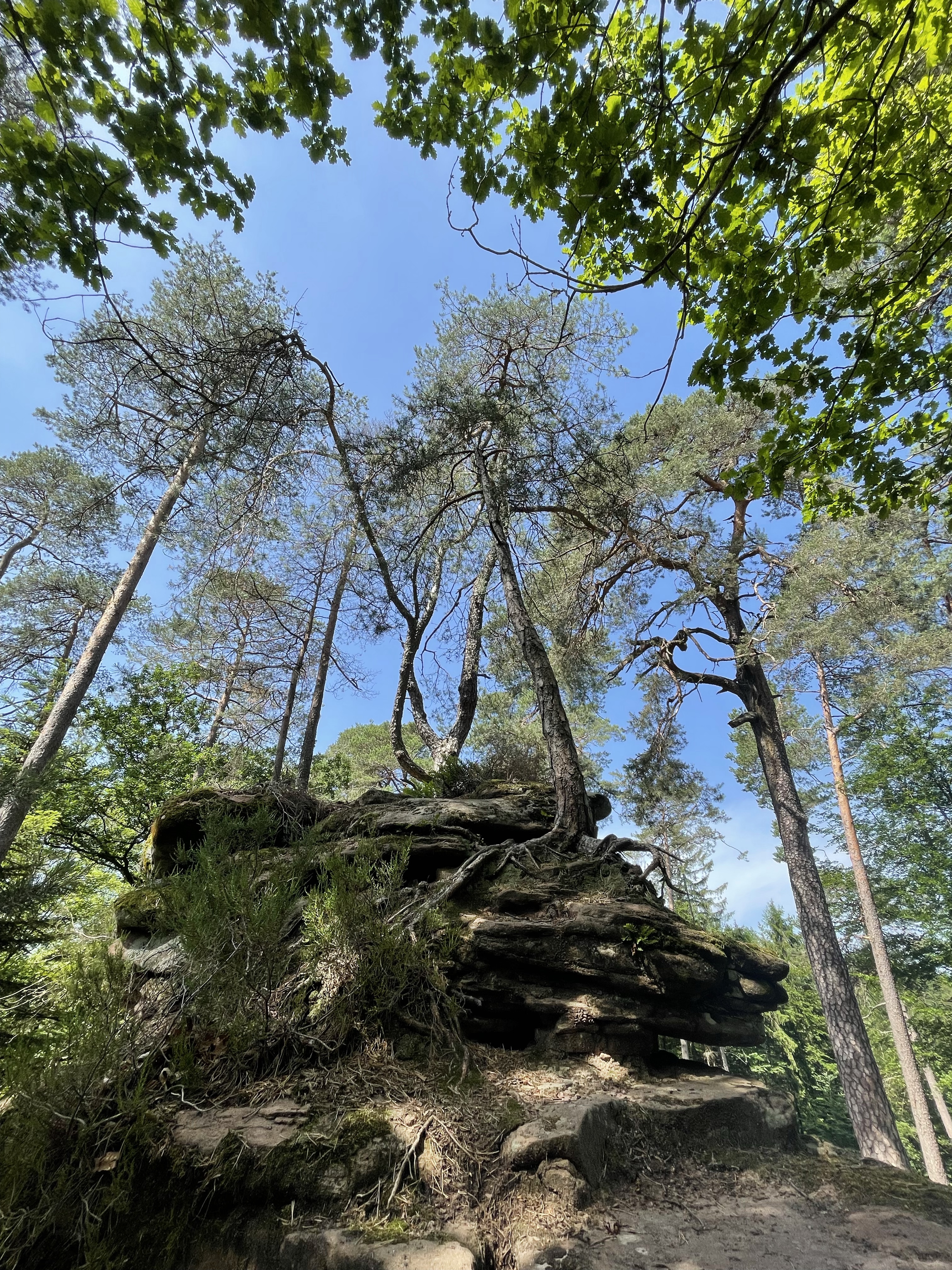 Geschützt: Rundweg um den Silzer See