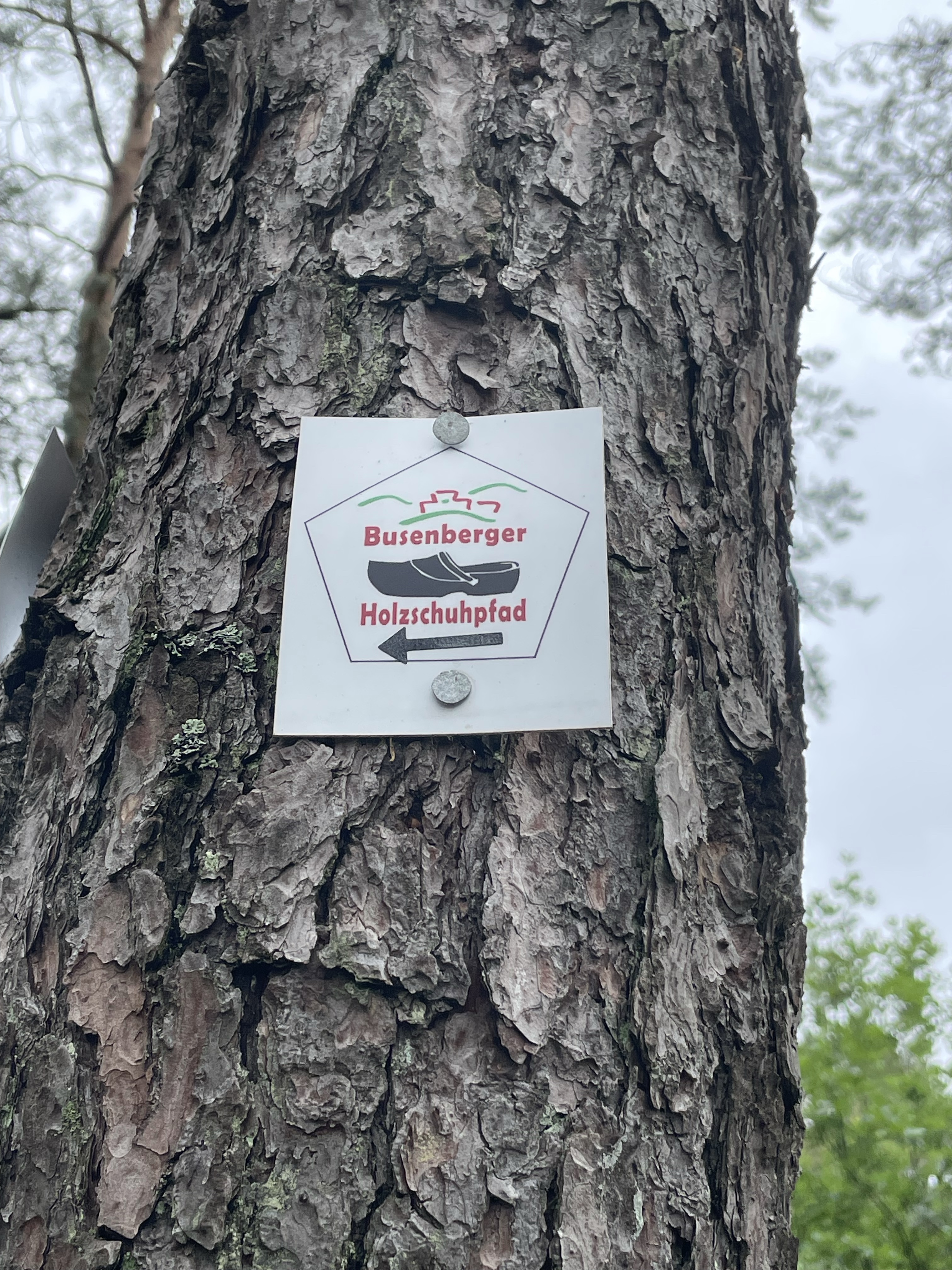 Geschützt: Der Busenberger Holzschuhpfad