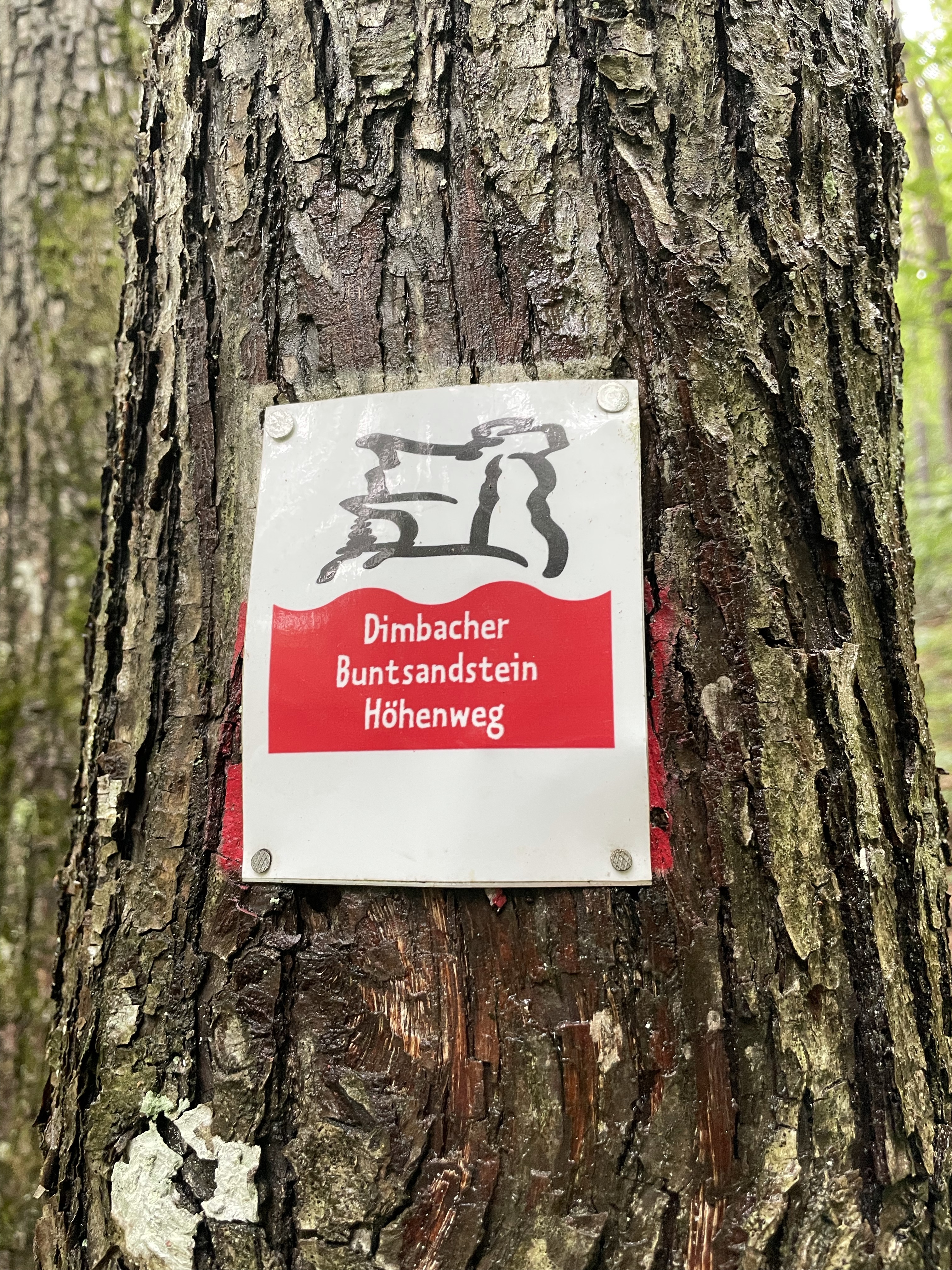 Geschützt: Premium-Finale