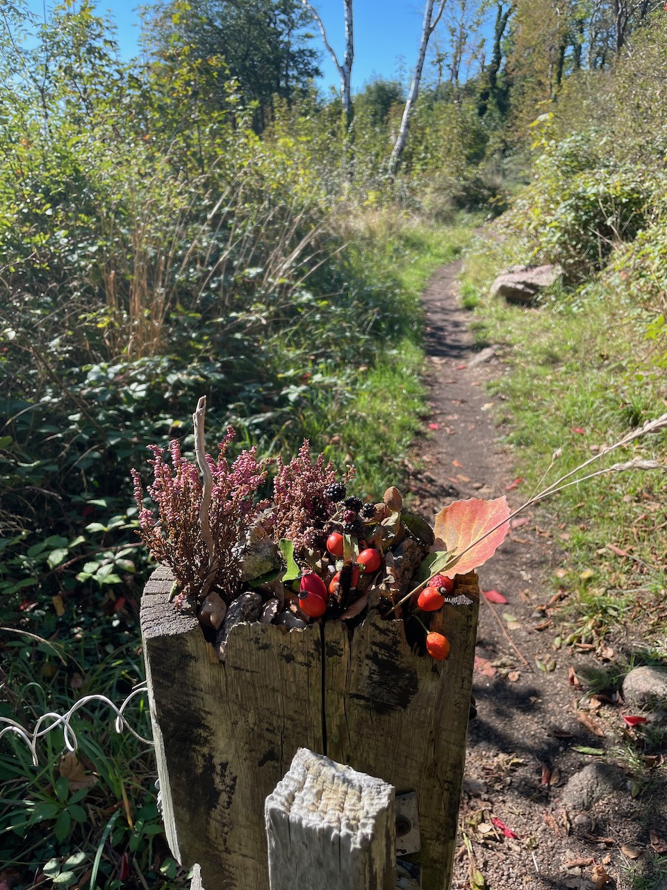 Geschützt: Ein (Rad-) Wandertag