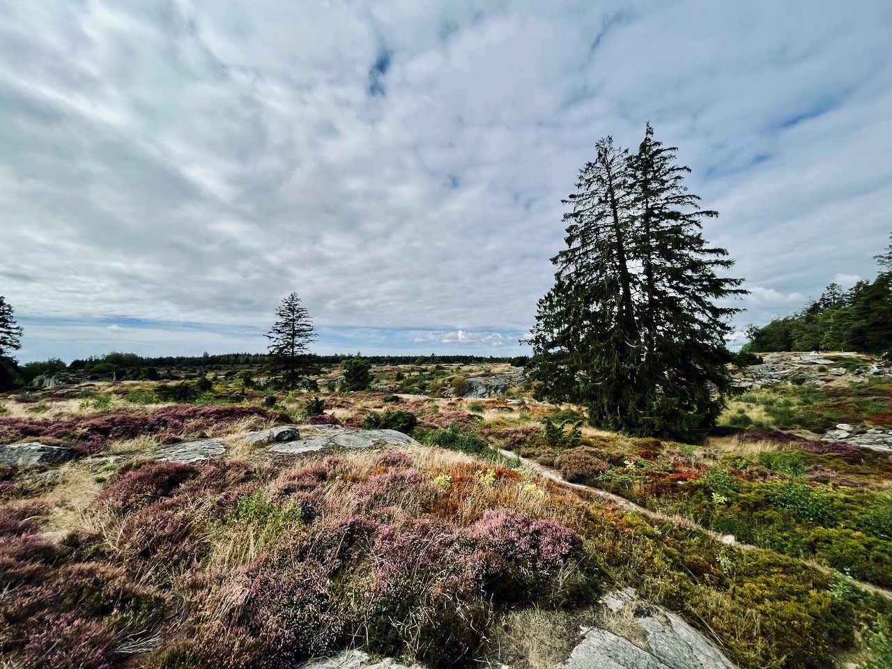 Geschützt: Wandertag in den Paradisbakkerne