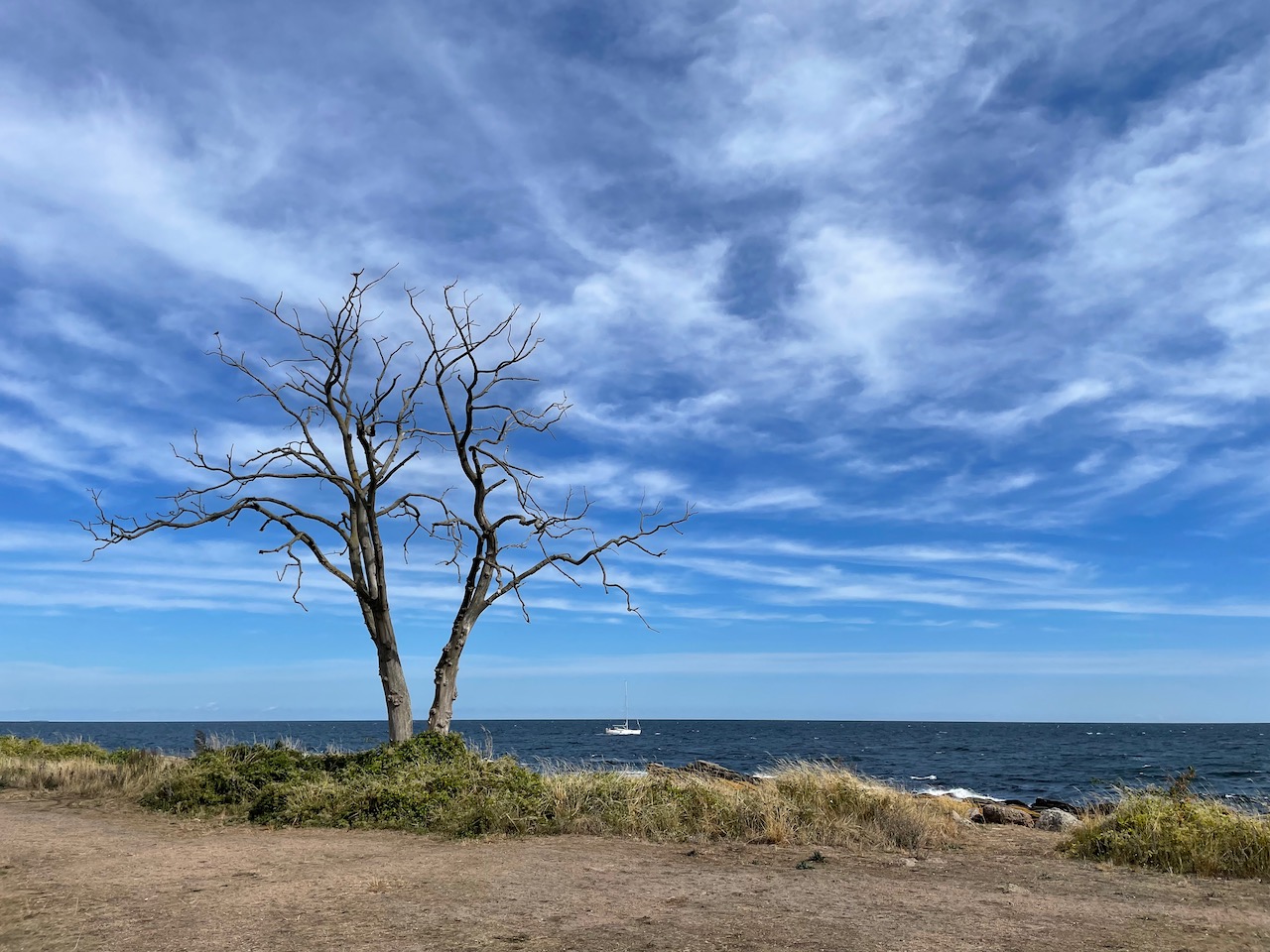 Geschützt: Ein Tag in Svaneke