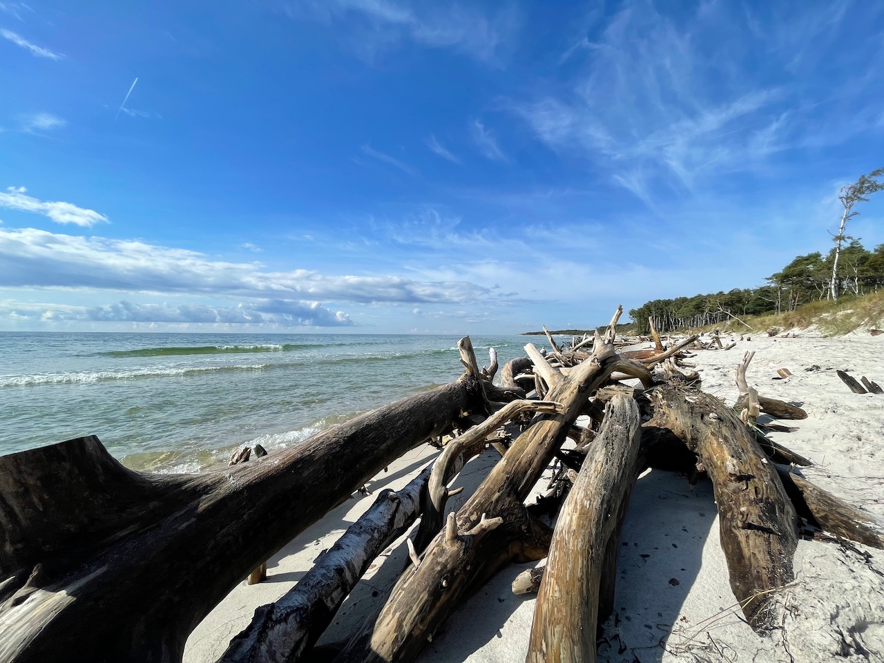 Geschützt: Strandwanderung und Stjerneskud