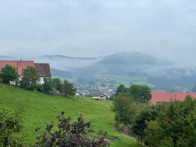 Geschützt: Klosterreichenbach