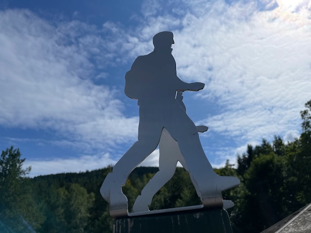 Geschützt: Ruhestein-Buhlbach und Mikrohabitate