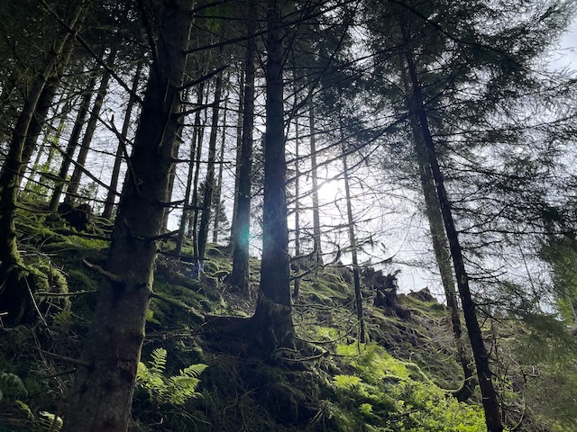 Geschützt: Tonbachtalrunde